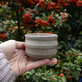 A hand holding a beautifully crafted ceramic cup with wavy walls, set against a backdrop of shrubs with vibrant red fall berries.