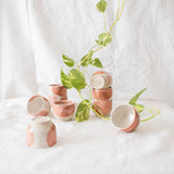 Handmade coral red ceramic espresso cups displayed with a house plant on a white background.