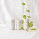 Stacks of speckled white ceramic espresso cups showcased with a house plant on a white linen cloth.